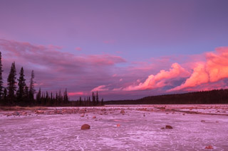 Clouds vs Trees Over the Salt Flats