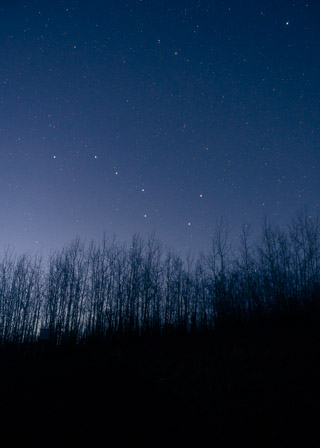 The Big Dipper and North Star