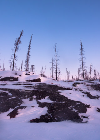 Snowy Slabs
