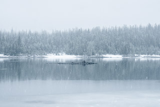 Summer Alpine Snowstorm