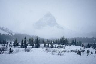 Mt. Maude Through the Snow