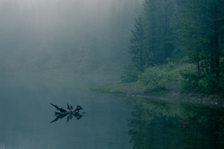 Allstones in Fog