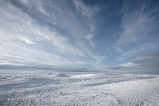 White Prairie Expanse