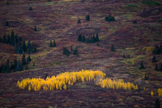 Bright Kluane Slope