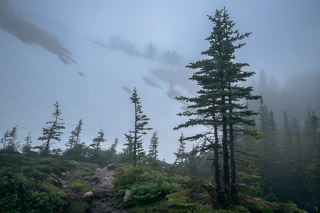 Trail into Spring Snow