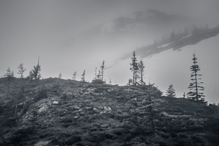Alpine Spring in Clouds