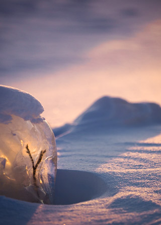 Ice Cap