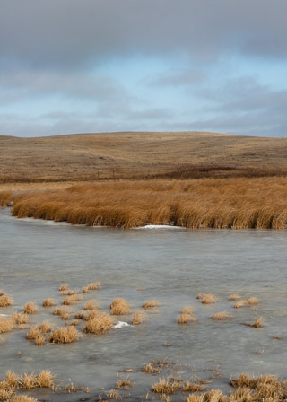 Frozen Prairie Pond