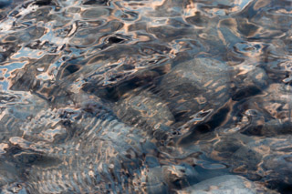 Metallic Translucence