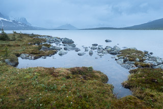 Cold Spring at Amethyst Lake
