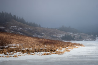 Reesor Winter Shore in Fog