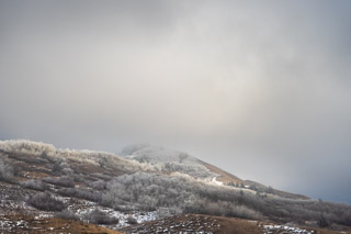 Frosted Sunlit Hill
