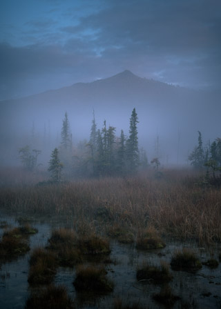 Liard Meadow Before Sunrise II