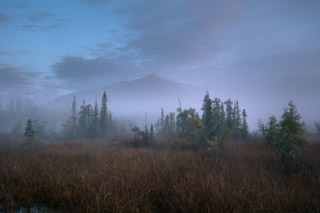 Liard Meadow Before Sunrise I
