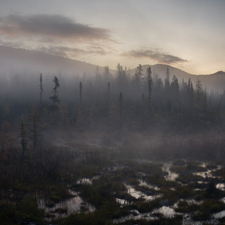 Warm Foggy Liard Morning II