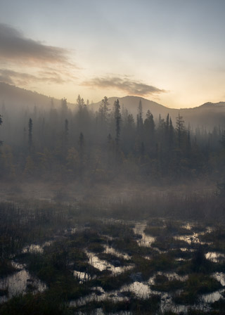 Warm Foggy Liard Morning