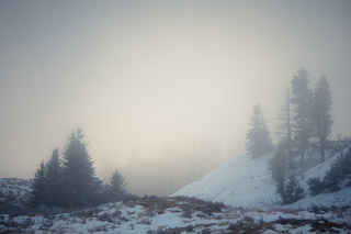 Rolling Hills in Foggy Winter