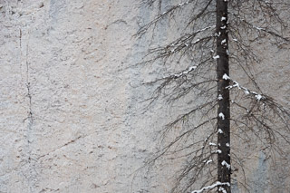 Frosty Wall