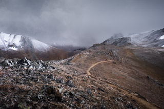 Up Into the Windchill