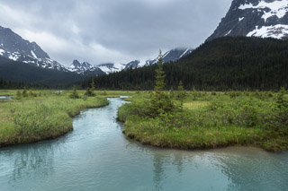 Meandering Through a Meadow