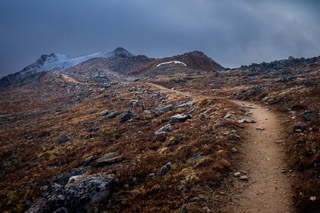 Path Into the Storm