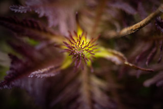 Sharp Symmetry