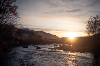 Flowing Through Willows to the Sun