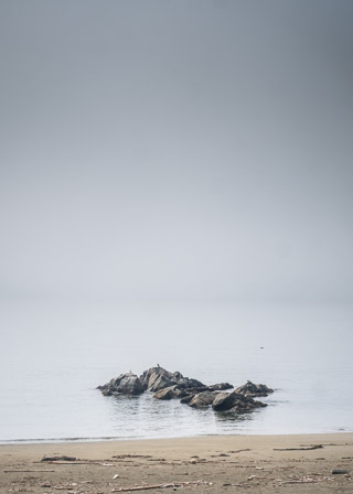 The Rugged Rising From the Still