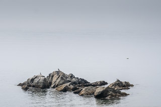 Anchoring the Sea