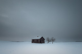 In a Field Of Snow