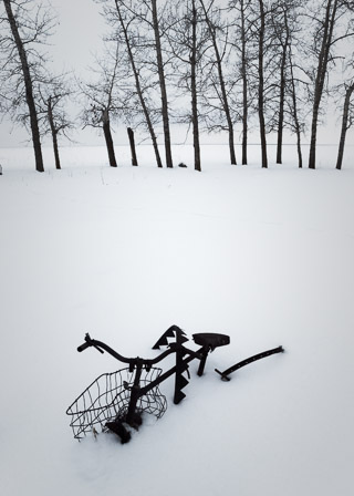 Snowed In