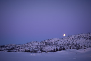 Moon Over Bluefox II
