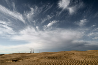 Wispy Clouds and Buried Trees
