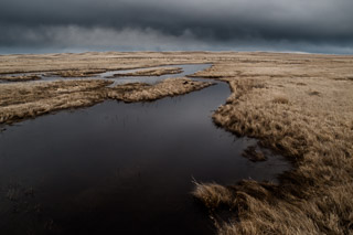 Flooded Field