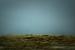 Empty