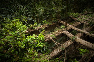 Abandoned Bridge