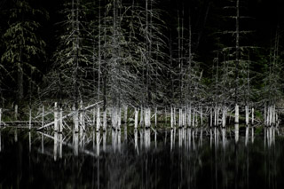 Flooded Remains