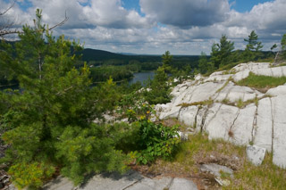 Quartzite Hills
