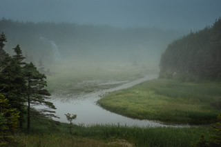 Distant Falls into the Marsh
