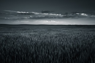 Prairie Fields and Sky
