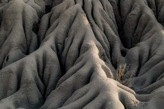 Erosion around a Plant