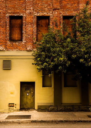 Back Door