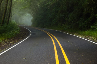 Highway 101