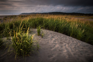 Grassy Beach