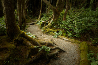 Do Not Run Off the Path