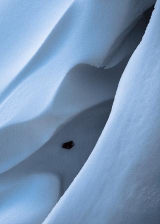 Wind Carved Snow
