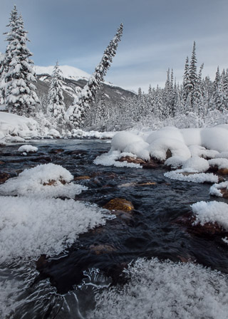 Winter Stream