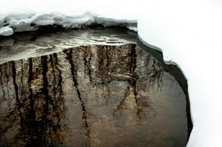 Winter Reflecting Pool