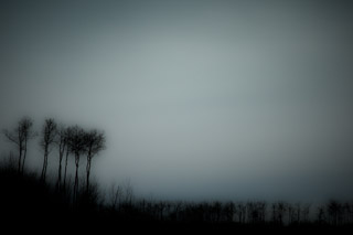 Foggy Evening