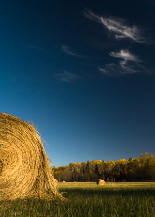 Fall Bale